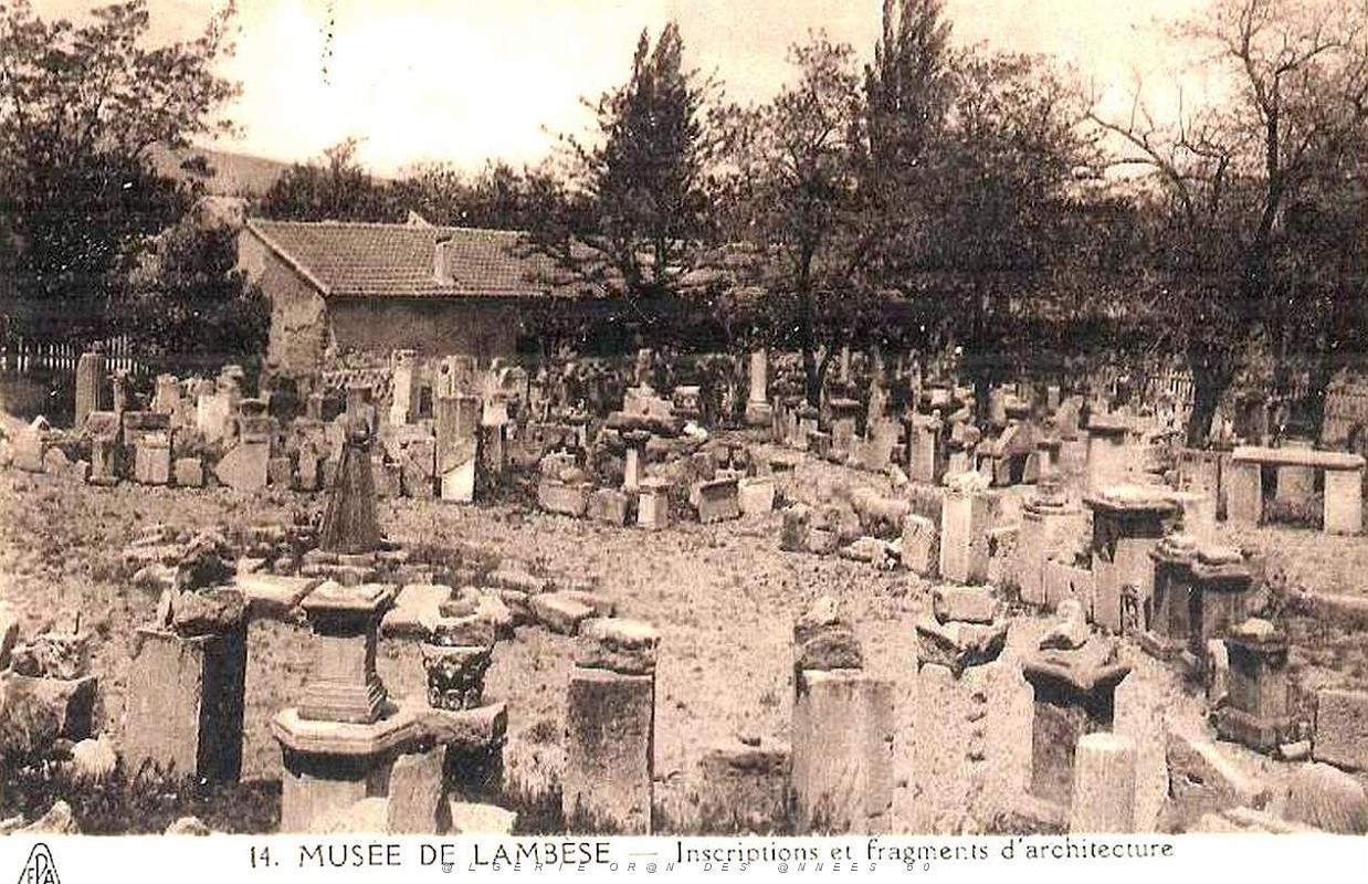 ALGERIE-RUINES ROMAINES DE LAMBESE (60).jpg